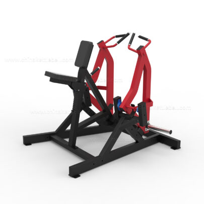 ISO-LATERAL ROWING