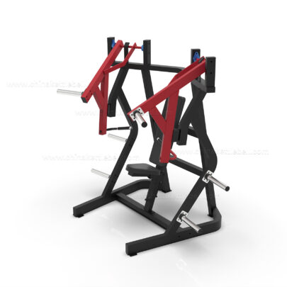 CHEST PRESS